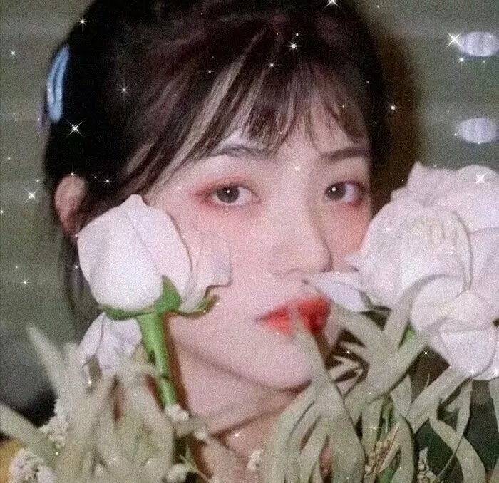有情感的机器人封面